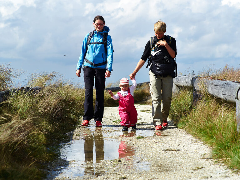 Sommerzeit im Ferienhof Stetter