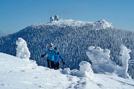 Schneeschuhwanderer durchschreiten eine verschneite Winterlandschaft mit Arbergipfel im Hintergrund