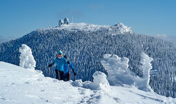 Schneeschuhwandern über den verschneiten Arber Schneeschuhwanderer durchschreiten eine verschneite Winterlandschaft mit Arbergipfel im Hintergrund
