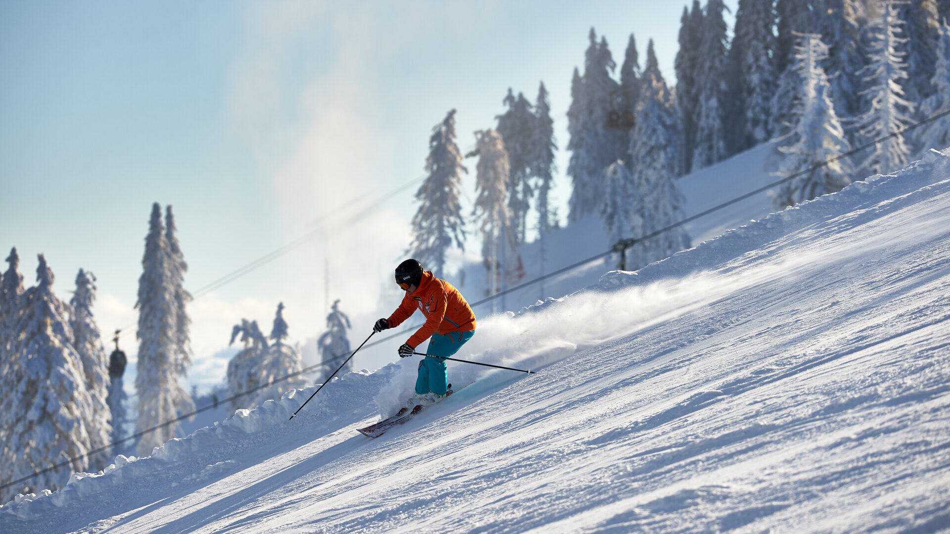 Ein Skifahrer fährt schwungvoll eine schneebedeckte Piste im Bayerischen Wald hinunter. Die Sonne scheint auf die verschneiten Bäume.