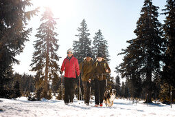 Drei Personen und ein Hund wandern durch einen verschneiten Tannenwald im Bayerischen Wald.